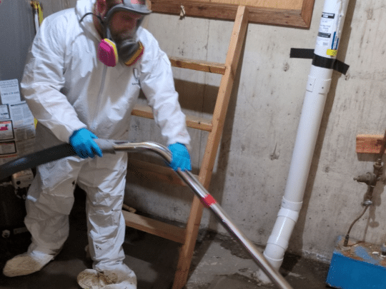 sewage cleanup in denver