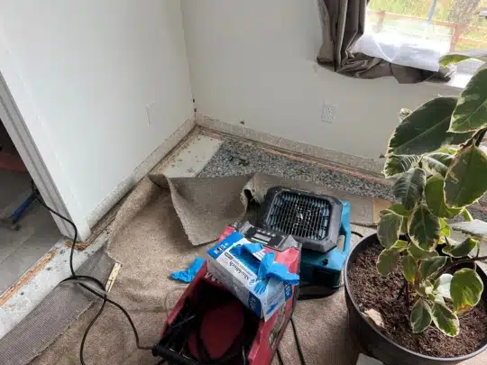 A corner of a room with carpet pulled back, showing exposed padding and drying equipment, including an air mover and electrical cords.