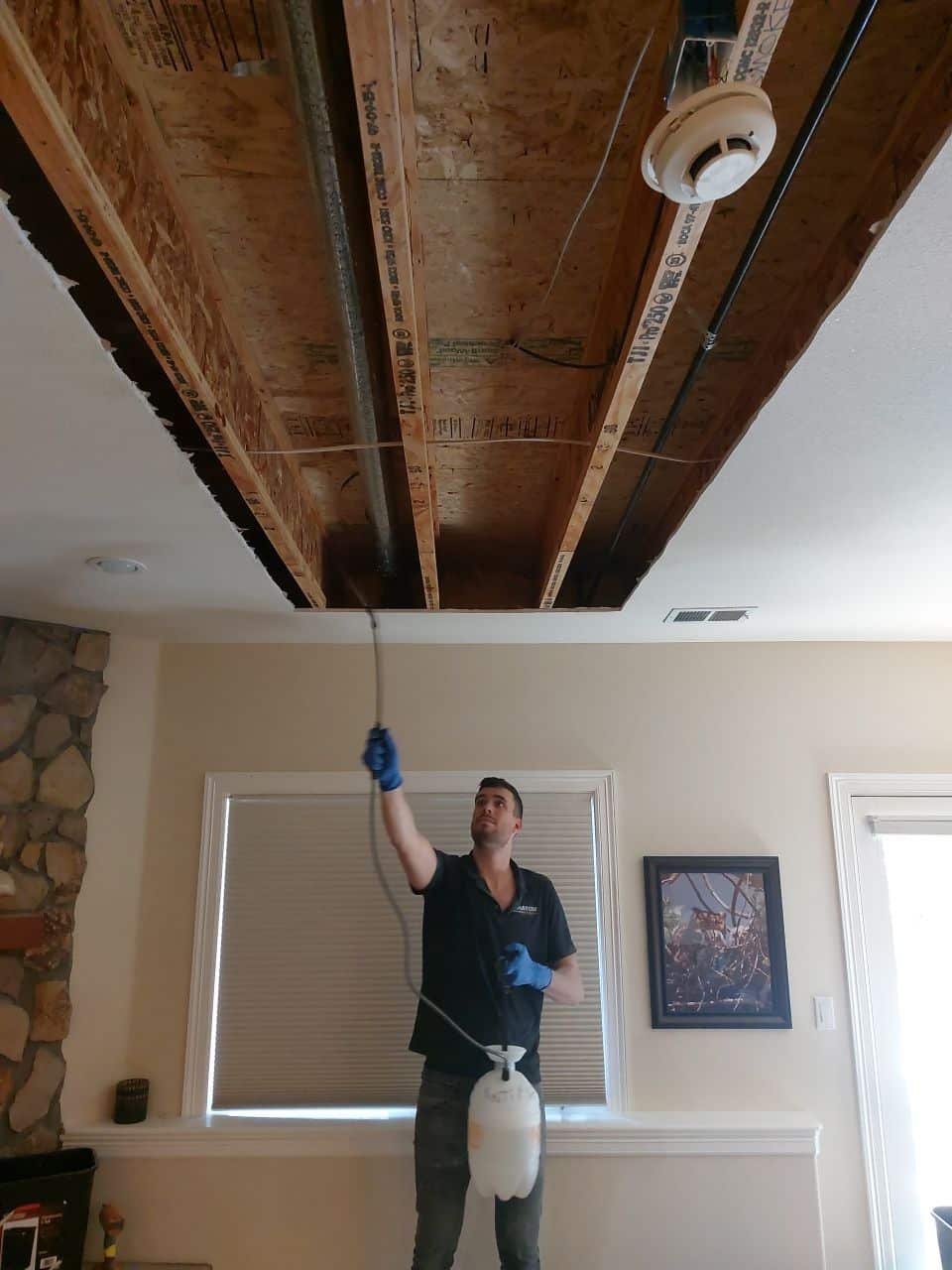 Technician spraying treatment on an exposed ceiling