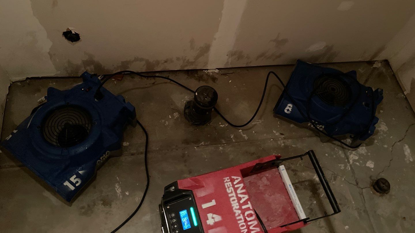 Dehumidifier and air movers addressing moisture