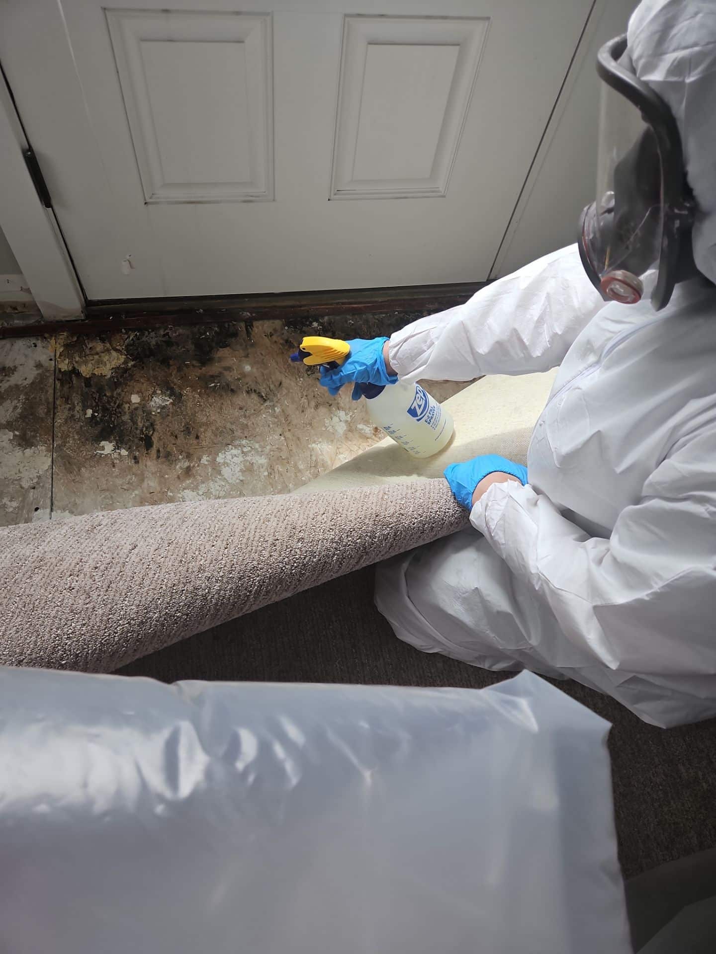 Technician treating mold on a removed carpet