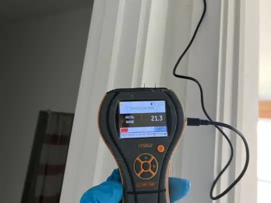 A technician wearing a blue glove holds a digital moisture meter against a white window frame indoors, with the display reading 21.3% moisture content