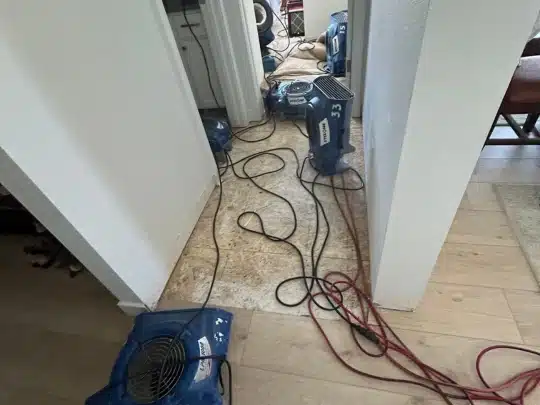 Multiple blue air movers and extension cords are positioned in a hallway with the flooring partially removed for drying.