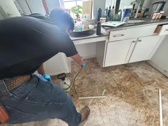 A technician wearing gloves sprays treatment on the exposed bathroom subfloor near a white vanity.