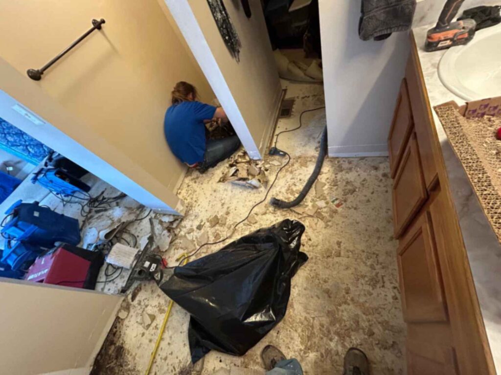 Water-damaged wooden ceiling with visible mold growth, requiring professional mold remediation and roof repair.