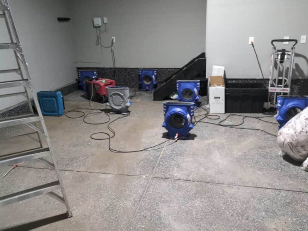 Water-damaged wooden ceiling with visible mold growth, requiring professional mold remediation and roof repair.