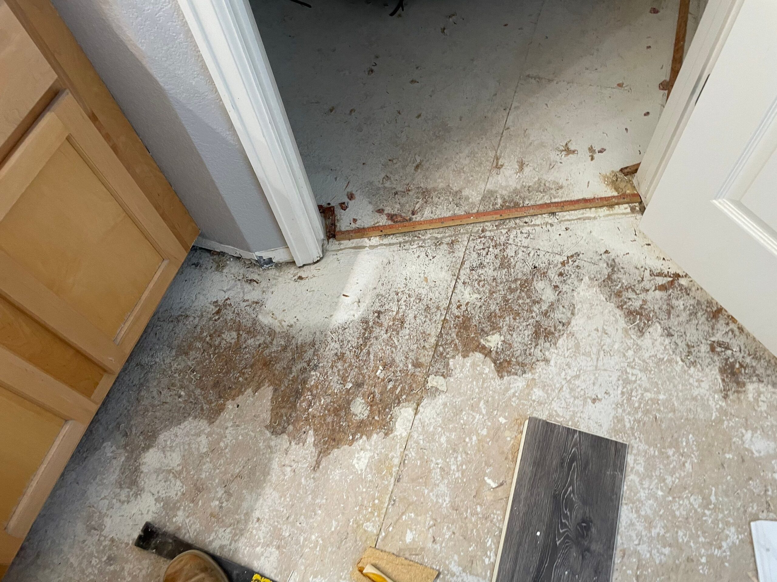 Water-damaged subfloor exposed after flooring removal.