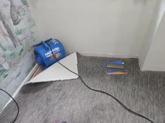 Wall Cavity Drying in Progress – Carpet Lifted for Moisture Remediation by Anatom Restoration