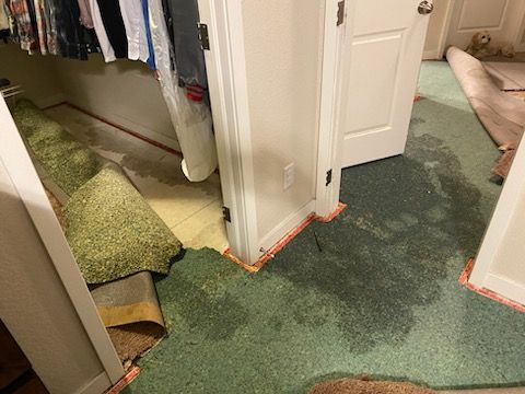 Water-damaged carpet and flooring in a flooded bedroom closet.