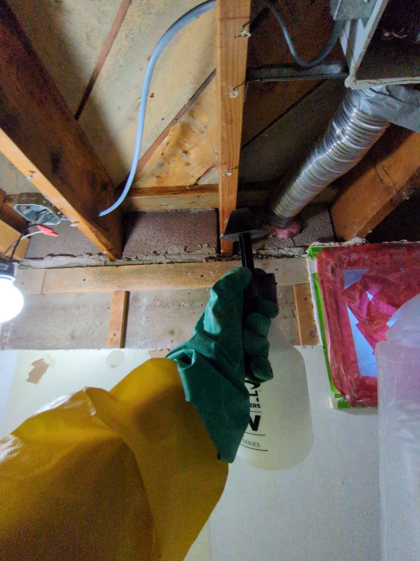 Worker spraying treatment on wood