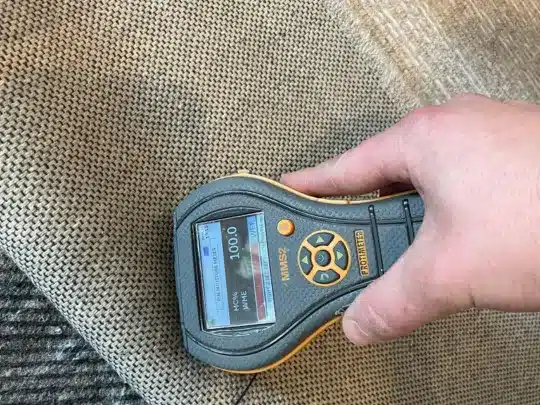 A hand holds a Protimeter MMS2 moisture meter against a carpet