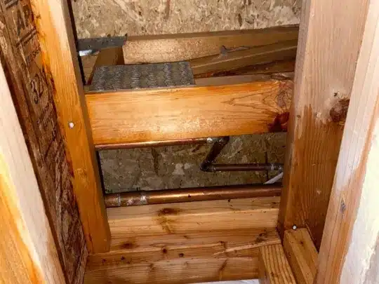 Exposed framing and insulation in a wall cavity