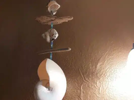 A seashell wind chime hanging from a ceiling