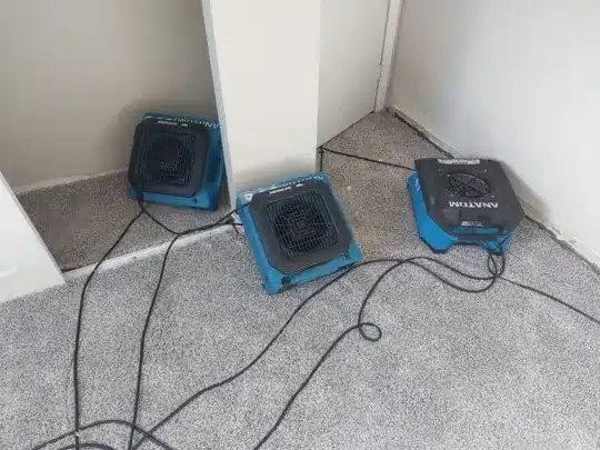 Three blue drying machines positioned on a carpeted floor, connected by cables, in a room near a door