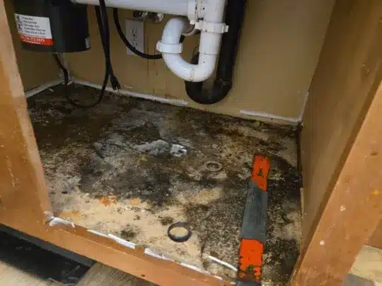 Damaged cabinet base under kitchen sink.