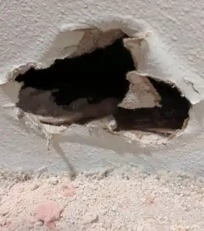 Dan, our Lead Mitigation Technician, inspects a damaged wall with a hole caused by water damage at a restoration site