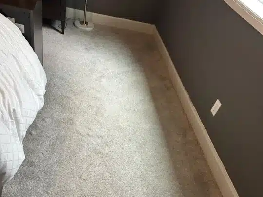 A carpeted bedroom corner with visible signs of water staining along the baseboard beneath a window.