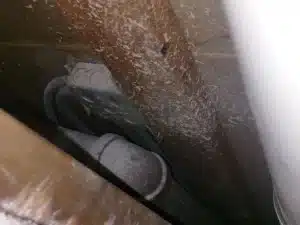 Danielle - Water Damage Restoration in Aurora, CO