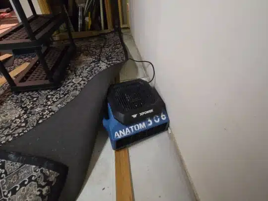 A blue air mover labeled ANATOM placed against a wall, blowing air to dry flooring and carpet edges