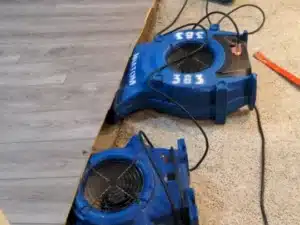 Roxan - Water Damage Restoration Service in Aurora, CO