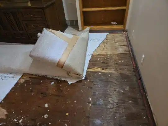 Living room floor with carpet pulled back to reveal water-damaged wood beneath