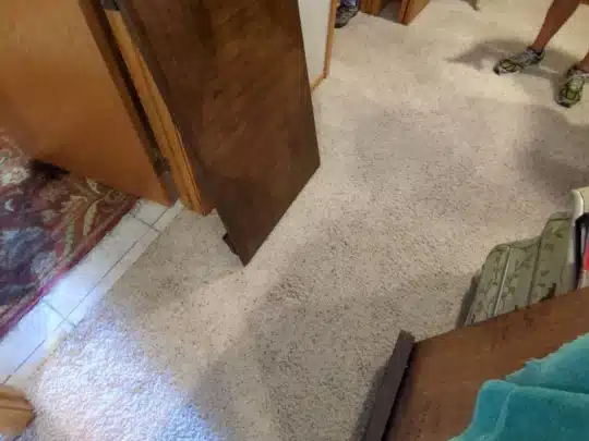 Carpeted bedroom with two people standing, visible water staining on the floor near the door