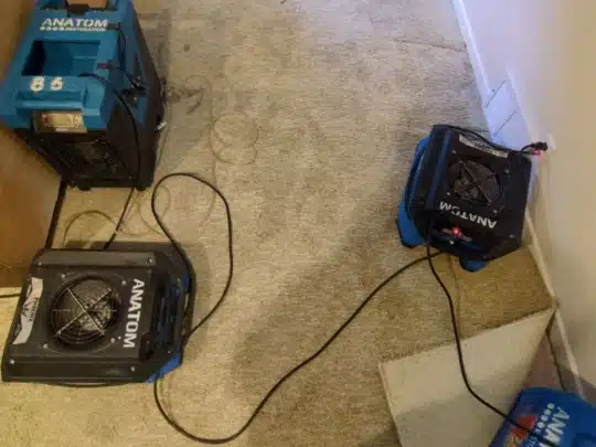 Two drying fans and one dehumidifier from Anatom are positioned on a carpeted floor in a residential room