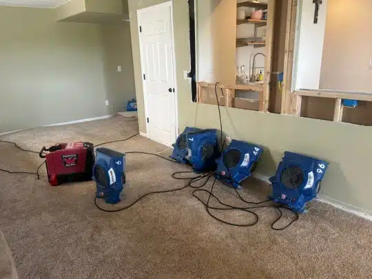 Carpeted living room area with three air movers and a red dehumidifier operating, with partial wall exposure and a kitchen visible through the opening