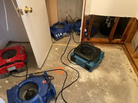 Mary - A leak behind the laundry room wall caused hidden mold in Monument – we removed the drywall, cleaned the space, and helped Mary breathe easier again