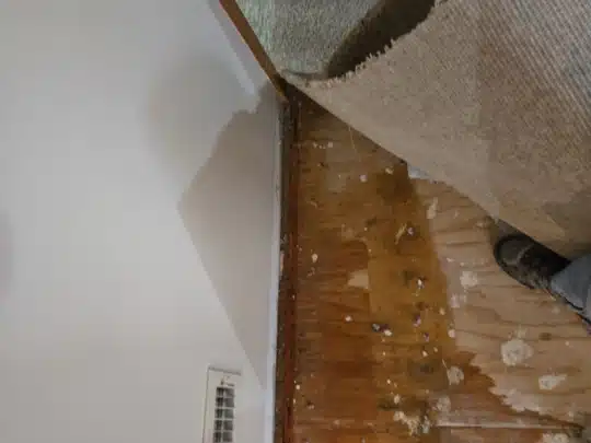 Partially lifted carpet revealing water-damaged wooden subfloor near the wall
