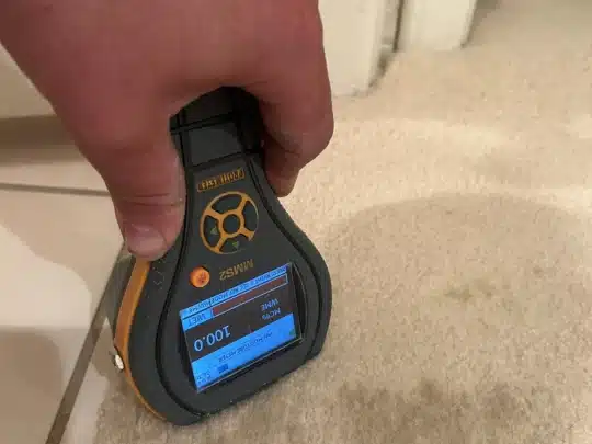 Hand holding a moisture meter pressed against carpet to measure water damage levels