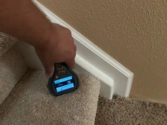 A technician using a moisture meter on carpeted stairs to test for water damage