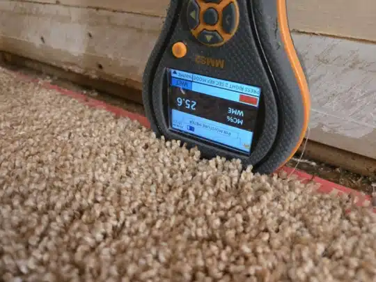Moisture meter reading carpet and baseboard after water damage