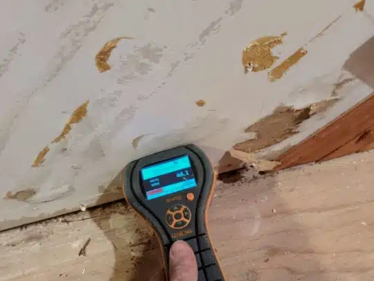 A moisture meter held by a technician displays a 46.1% reading on a wall with peeling paint and exposed wooden base
