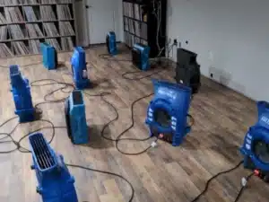 Janice - A Leaking Dishwasher Flooded The Kitchen Floor In Johnstown – Nathan Removed The Water, Dried The Walls, And Janice Had Her Home Back To Normal