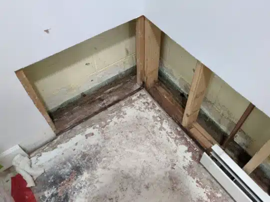 Wall inspection for mold