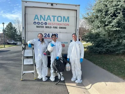 Anatom Restoratio Team